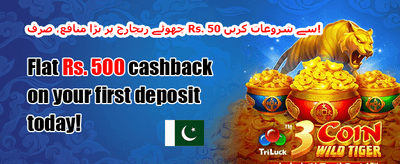 خوش آمدید بونس - 100% میچ promotion banner